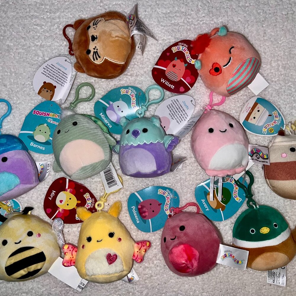 11 NWT Squishmallow Clips Bundle
